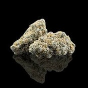 Dracoz | Common Citizen | Bulk Flower