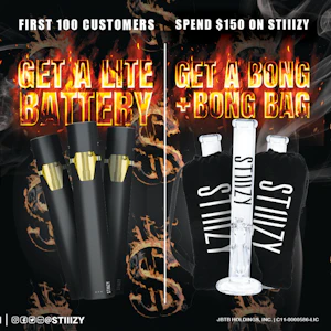 Urban Buds LLC DBA HeyHigh - STIIIZY | 420 Bong Bag