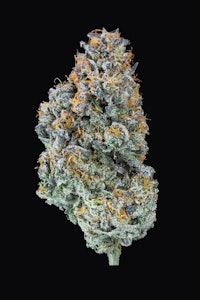 Cape Cod Grow Lab - Chamoy - 3.5g - Cape Cod Grow Lab