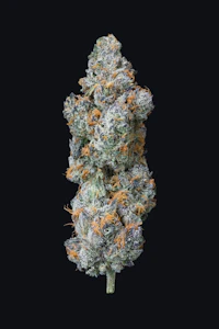 Cape Cod Grow Lab - Lion's Breath - 14g - Cape Cod Grow Lab