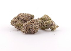 Dirty Bird - Flower