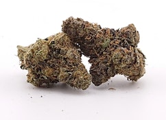 Purple Strawberry Sherbet - Flower