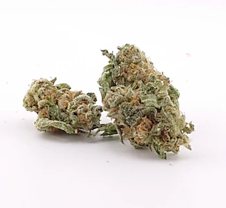 Derby's Farm - Zazhimi - Flower