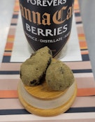CANNA CAVI - BERRIES