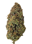 CaliBlaze Mimosa 14 g THC 31.45%