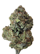 Modified Sunset  [ I ] 14 g THC% 28.71