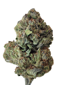 CALI BLAZE - Modified Sunset  [ I ] 14 g THC% 28.71