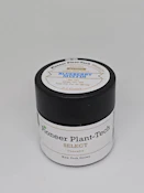 Pioneer Plant Tech - Blueberry Muffin - Flower - 2g