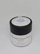 Pioneer Plant Tech - Blueberry Muffin - Flower - 2g