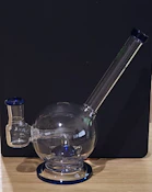 Sea Turtle Bong
