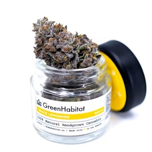 GREEN HABITAT - Green Habitat Space Lemonade 3.5g