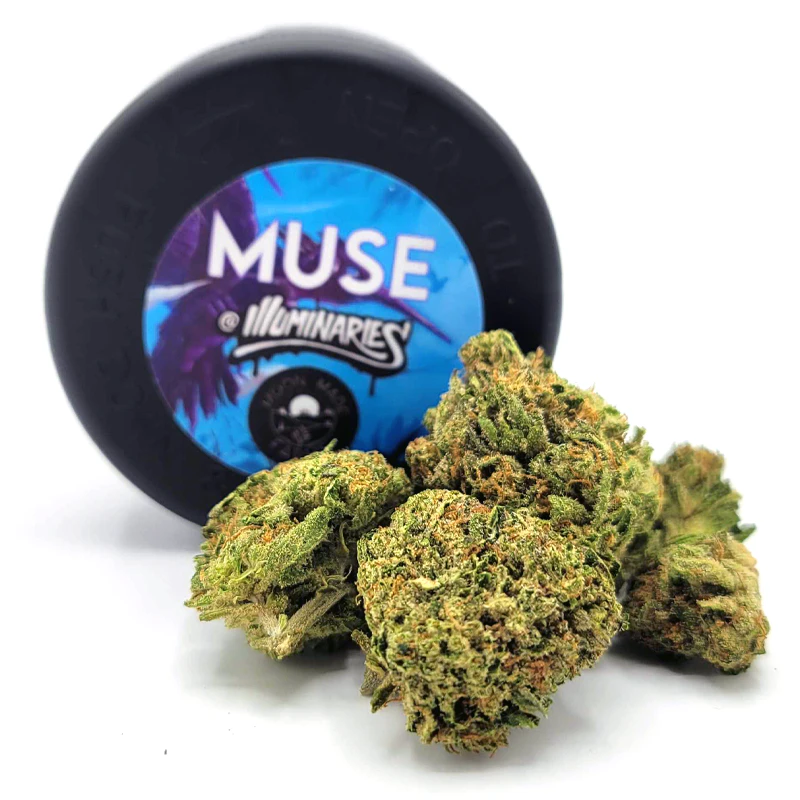 Dolo Rolling Co. - Muse - White Gummiez (Eighth) Main Image