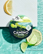 Camino Sours Citrus Punch Gummies 100mg/10ct