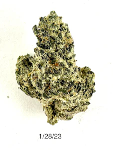 PROHIBITION 37 - P37 - Laughing Gas 