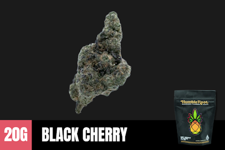 Humble Root - 20g Black Cherry (Indoor) - Humble Root