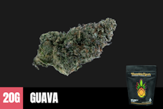 20g Grandi Guava (Indoor) - Humble Root