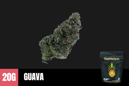 Humble Root - 20g Guava (Indoor) - Humble Root
