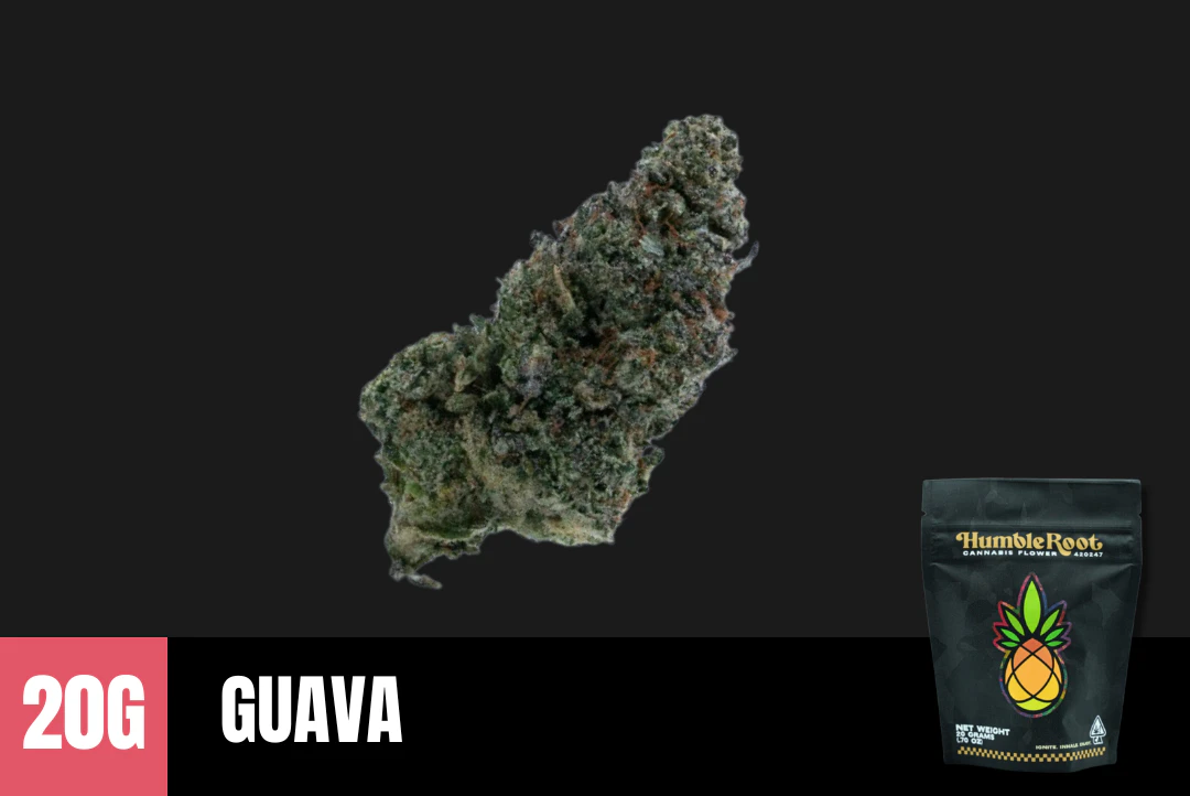 Humble Root - 20g Guava (Indoor) - Humble Root Main Image