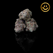 Rose Bud Growers | Orange Candy | indoor flower