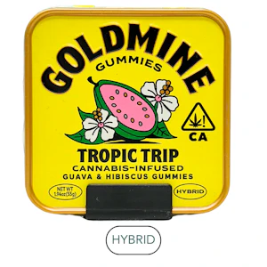 Goldmine Gummies - Goldmine Gummies - Tropic Trip - Guava Hibiscus TIN - 10pk - Gummies - 100mg