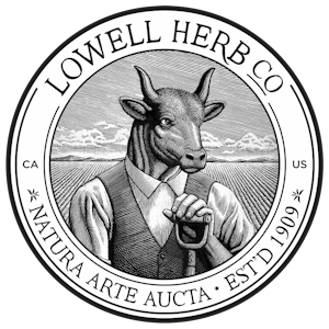 LOWELL FARMS - LOWELL - Cherry Slushie LITTLES - 14g