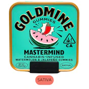 Goldmine Gummies - Mastermind - Watermelon & Jalapeno TIN - 10pk - Gummies - 100mg