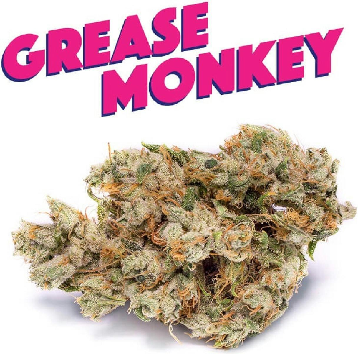 Grease Monkey