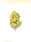 P37 - Blue Dream 