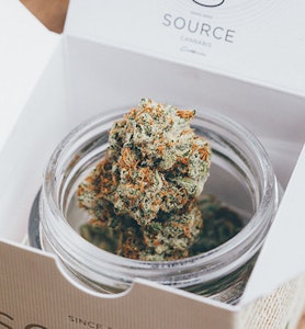 Source Cannabis - Source Flower 3.5g Sneakerheads $55