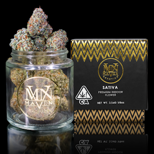 MAVEN GENETICS - Zuzu Berry - 3.5g (S) - Maven Genetics