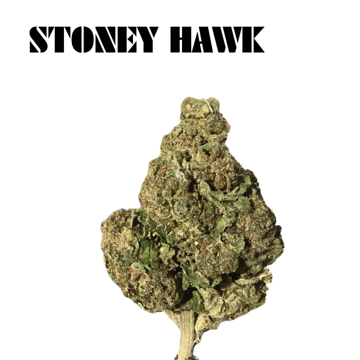 LXS - LXS - Stoney Hawk Deli Flower Main Image