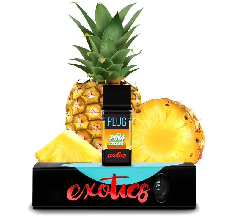 PlugPlay - Pina Cooler (H) | 1g Pod | Plugplay Main Image