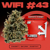 Safety Meeting | Mixed Buds | Wifi #43 | 3.5g