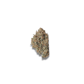 Sneeze, Indoor