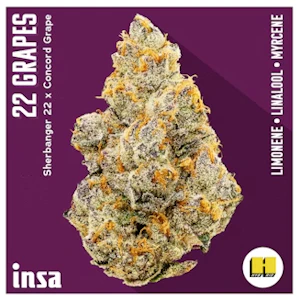Insa - 22 Grapes Flower - 3.5g - INS