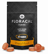 FloraCal | Gummies (10ct) | Tropical Punch | 100mg