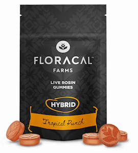 FloraCal - FloraCal | Gummies (10ct) | Tropical Punch | 100mg