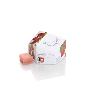 WYLD - Wyld Strawberry THC : CBD 200mg CBD : 10mg THC Edibles