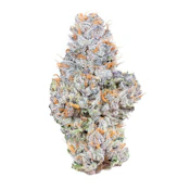 Connected | Gelato 41 | hybrid 3.5G Indoor
