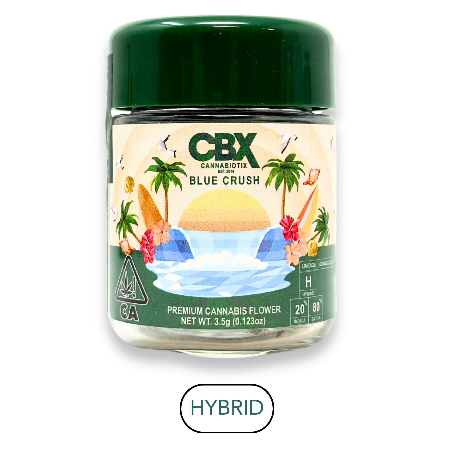 CBX: Cannabiotix - CBX - Blue Crush- Flower - 3.5g Main Image