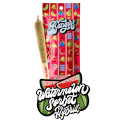 Bangers Infused 1.2g Pre-Roll - Watermelon Sorbet 37%
