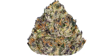 Traditional - Cotton Censored - 3.5g