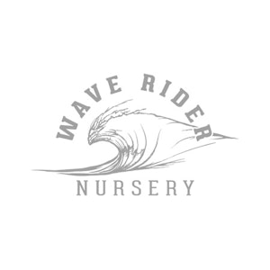 Wave Rider - Peanut Butter Breath - 14g (I) - Wave Rider