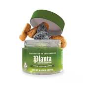 Planta - Biscotti 3.5g