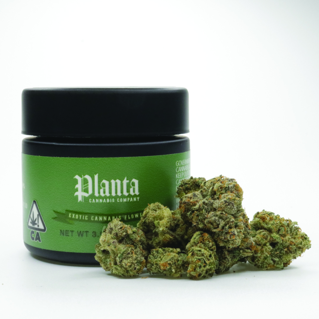 Planta - Cleopatra 3.5g - Belmont Dispensary Menu | Haven...