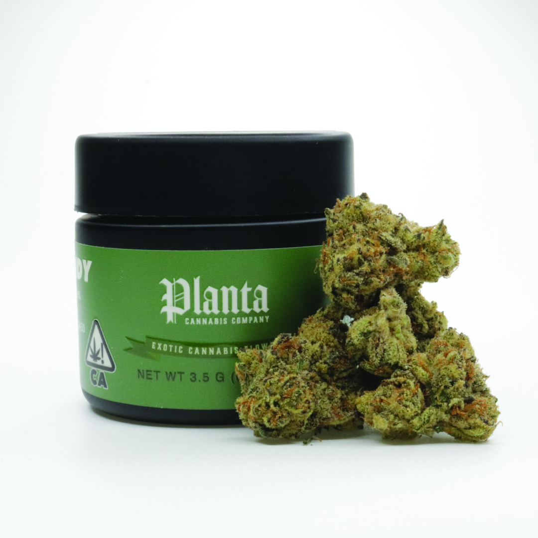 Planta - Coffin Candy 3.5g - Orange County Dispensary Menu | Haven