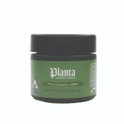Planta - Gelato 41 3.5g