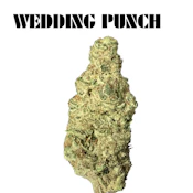 Elevated - Wedding Punch