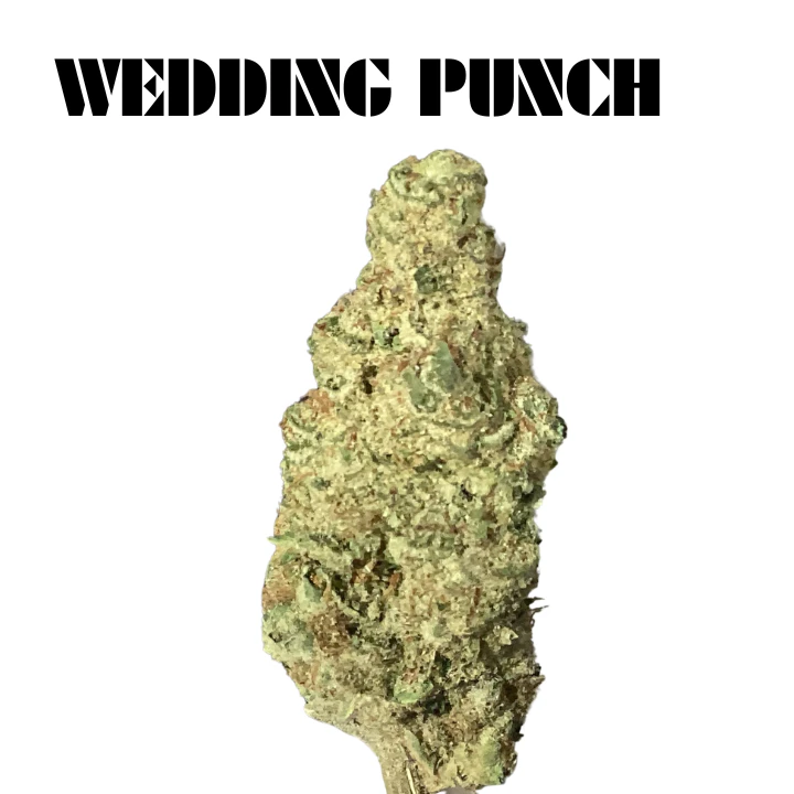 Truforia - Elevated - Wedding Punch Main Image