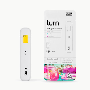TURN - TURN | HOT GIRL SUMMER - AIO | CARTRIDGE | 1G